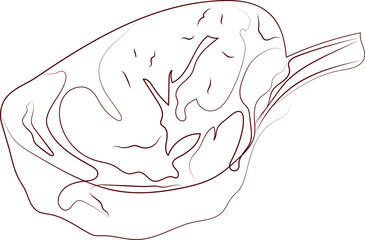 steak outline