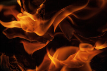 Close up of fire and flames