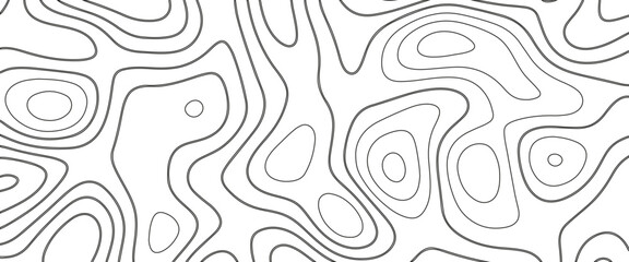 White wave paper curved reliefs abstract background, Abstract topographic contours map background. Geographic mountain relief. Abstract lines background. Contour maps. Business concept.