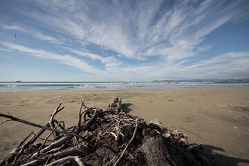 beach