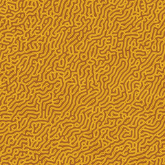 Seamless texture of organic brain coral pattern