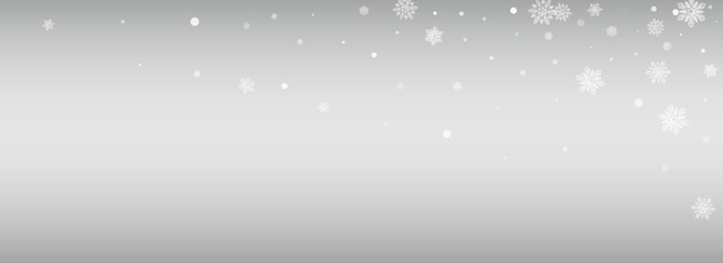 Gray Snowflake Vector Silver Panoramic