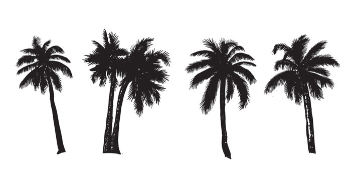 Hello Summer, Palm hand drawn illustrations, vector.
