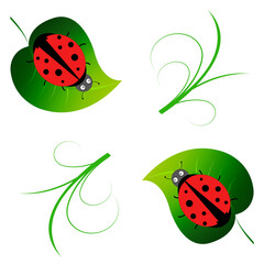 Ladybug on a green leaf and grass seamless pattern. Vector drawing.