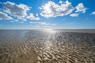 Photo sur Aluminium Mer du Nord, Pays-Bas North Sea landscape