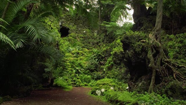 A&ccedil;ores Verde