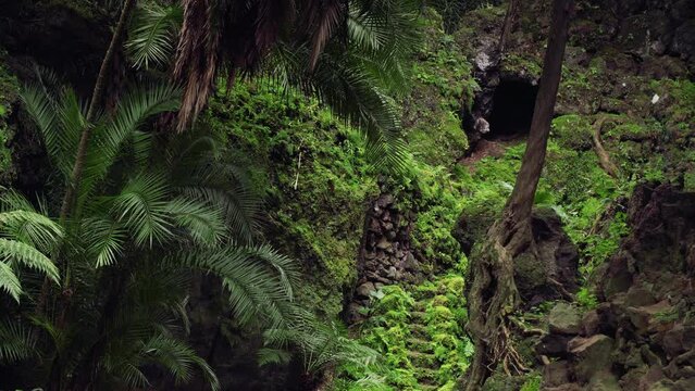 A&ccedil;ores Verde