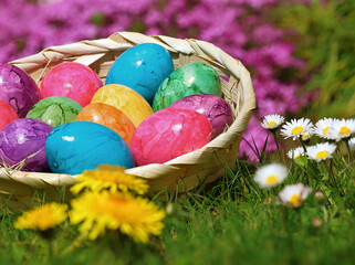 colorful easter eggs in straw basket between grass and spring flowers in the garden, close up
