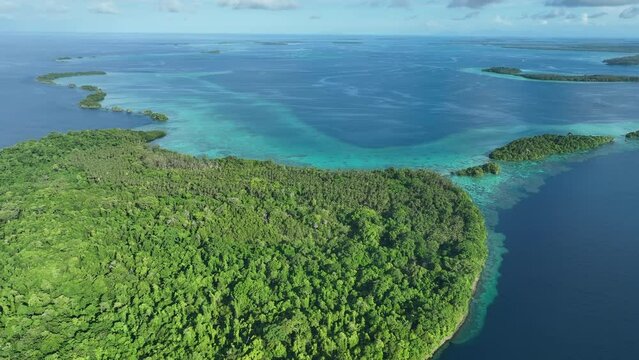 Scenic tropical islands are fringed by healthy coral reefs in the Solomon Islands. This beautiful country is home to spectacular marine biodiversity and many historic WWII sites.