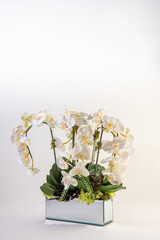 philodendra orchid flower arrangement