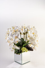 Fototapeta na wymiar philodendra orchid flower arrangement