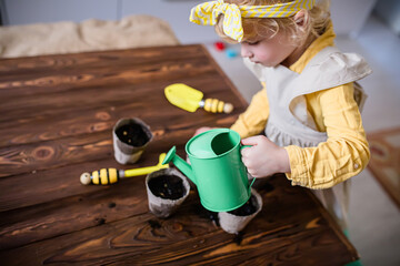 Winter preparation for the sowing season. A girl watered the seeds in pots on a wooden table with sown seeds. Growing seedlings for the garden. Vegetables for an eco farm.