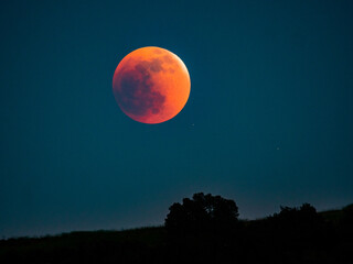 Fototapeta na wymiar Lunar Eclipse rising from horizon
