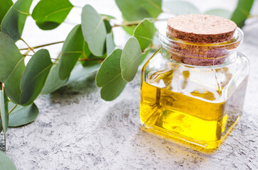 Eucalyptus essential oils in glass bottle