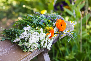 Medicinal herbs on a wooden bench outdoors. Bright summer flowers. Yarrow and Calendula plants in flowering season.