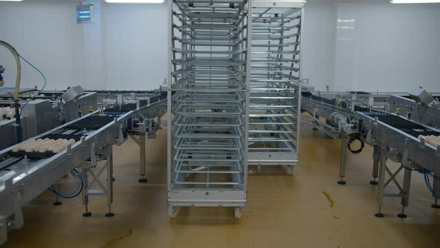Egg selection, egg production factory