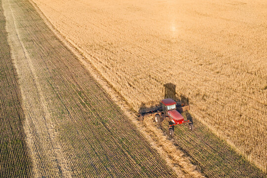 Harvesting a cereal crop. A windrower mows the ear for subsequent threshing by a combine harvester. Perspective view of the landscape. Filming from a drone.