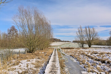 Wooden walkway through a frozen marsh with snow and bare willow trees in Munkzwalm, Flanders, Belgium