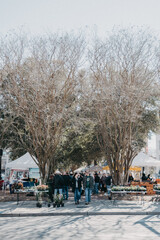 Pensacola and Alabama meet