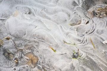 Ice and mud making patterns on the ground