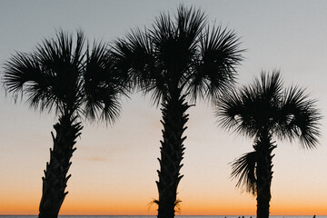 Pensacola and Alabama meet