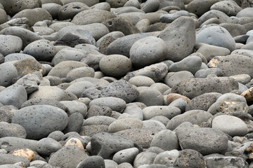 Volcanic rock eroded by the sea at Playa La Cocina