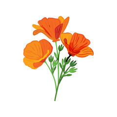 California State Flower Poppy Vector, Poppy Vector, Poppies Flower, Poppy Flower Vector, Orange Flower, Golden State Flower, Vector Illustration Background - obrazy, fototapety, plakaty