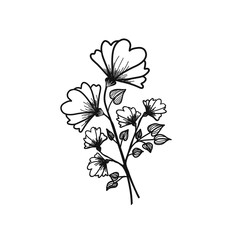 Poppy Flower Monochrome Lineart Tattoo Illustration
