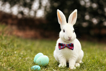 cute young white easter bunny with straight ears and red bow tie sitting on green grass with a bunch of easter eggs nearby, generative AI