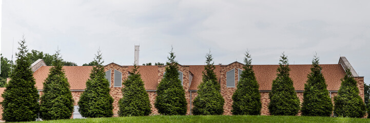 A series of ten pointed bushes in front of the water treatment plant