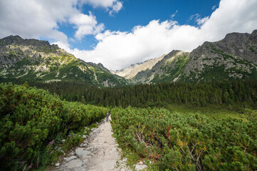 High Tatras lanscape in Slovakia, Europe