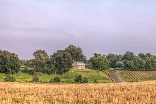 Summer farm scene with windrows and a barn 