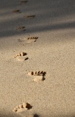Fototapeta na wymiar Foot prints in Sand