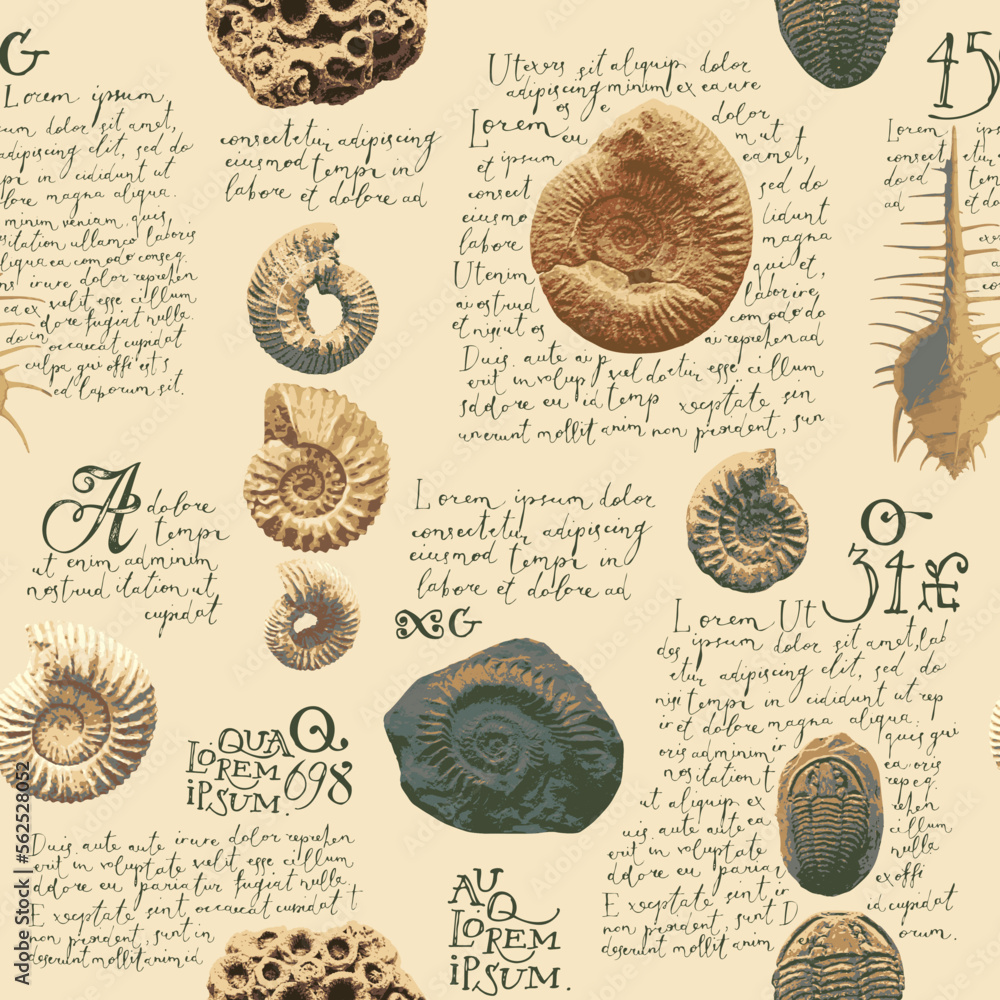 Poster vector seamless pattern background with photo of ancient ammonite shells and trilobites and text lor
