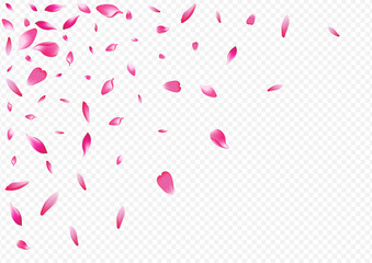 White Blooming Vector Transparent Background.