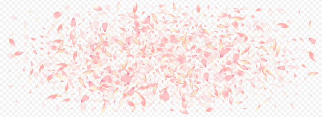 Fototapeta premium Color Rosa Vector Panoramic Transparent
