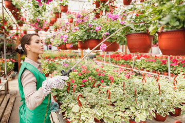 Florist Woman Watering Flowers In A Greenhouse
