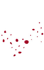 Red Blossom Falling Vector White Background. Blur
