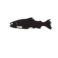 Cute black fish vector illustration icon. Tropical fish, sea fish, aquarium fish