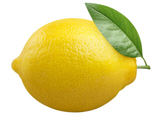 Delicious ripe lemon with leaf cut out