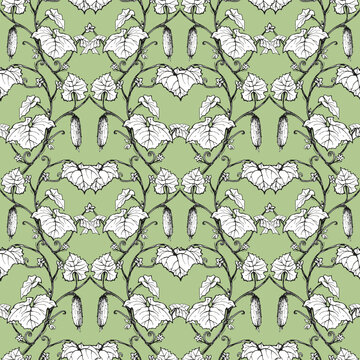 Seamless pattern with hand drawn cucumber, leaves and flowers. Good for fabric, wallpapers and backgrounds.