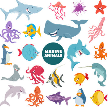 cartoon marine animal characters big set