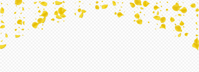 Yellow Flower Fall Vector Panoramic Transparent