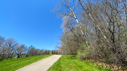 spring morning on the golf course