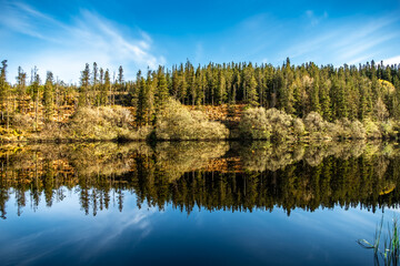 Lough Achork in early spring, Lough Navar Forest in Enniskillen, United Kingdom