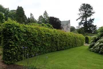 Kincardine Castle gardens - Kincardine O’Neil - Aberdeenshire - Scotland - UK