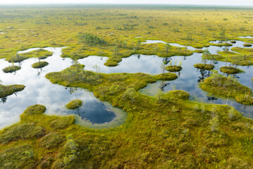 Obraz na płótnie Canvas Swamp landscape, drone view. Yelnya Wild mire of Belarus. East European swamps and Peat Bogs. Ecological reserve in wildlife. Marshland with islands and pine trees. Swampy land, wetland, marsh, bog.