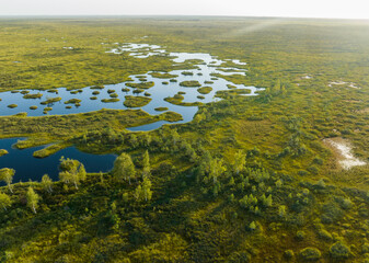 Swamp landscape. Wild mire of Yelnya in Belarus. East European swamps and Peat Bogs. Ecological...