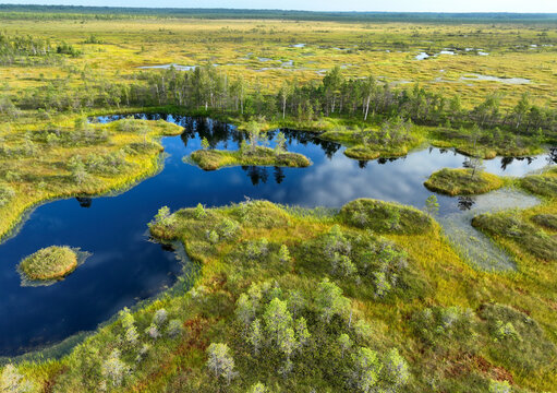 Bogland Bilder Durchsuchen 131,410 Archivfotos, und