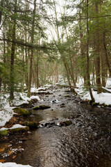 Little river in the woods after a snow day